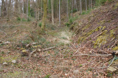 
Lasgarn Railroad branch trackbed, March 2009